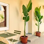 شقة The Secret Yard
